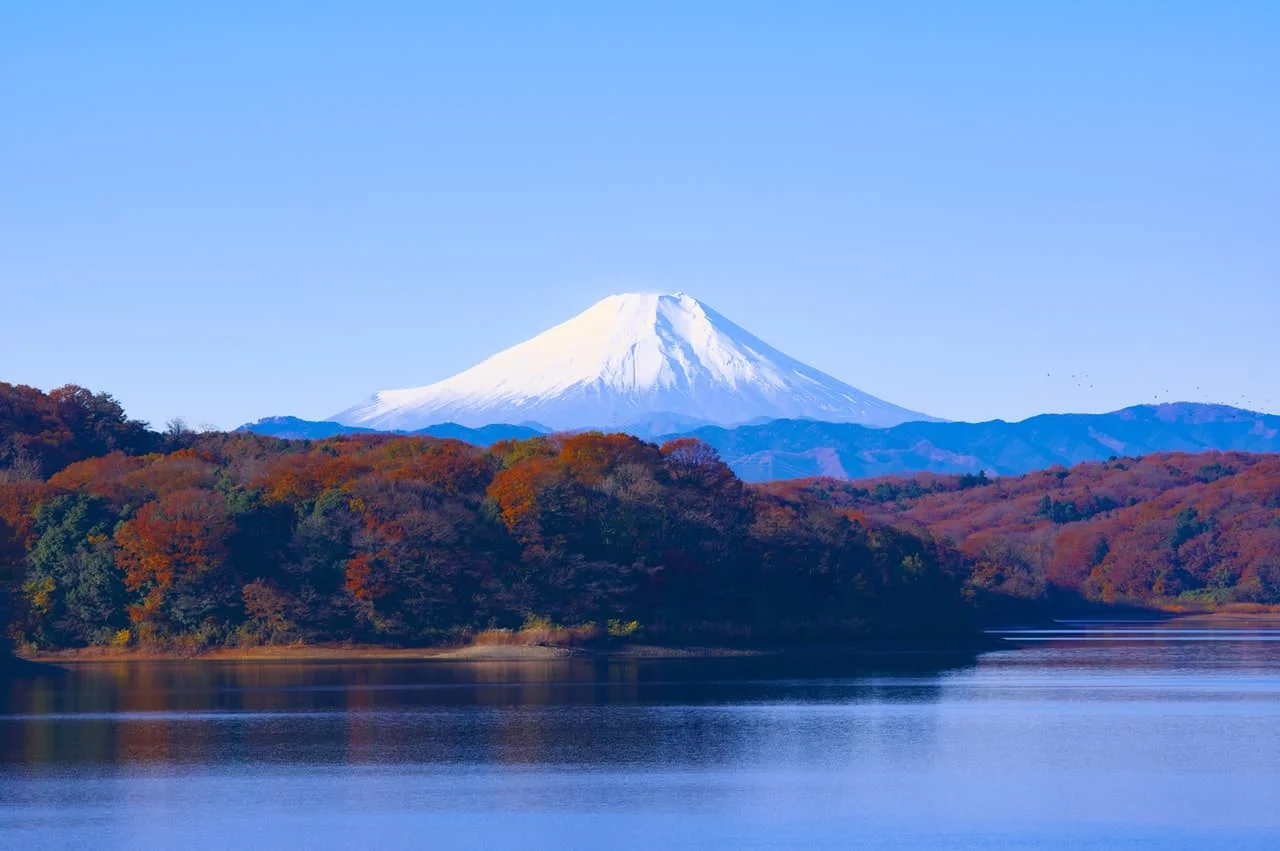 Tokyo in japan tour packages