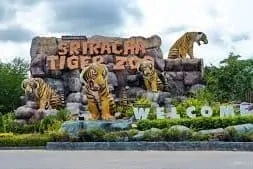Pattaya Sriracha Tiger Zoo