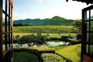 PB Valley Winery