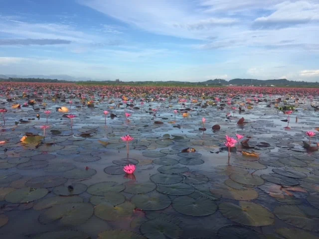 Phatthalung tour package