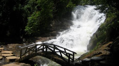 Datanla Waterfall has bustling scenic spot with a small series of waterfalls, a roller coaster, cablecar & hiking trails. 
