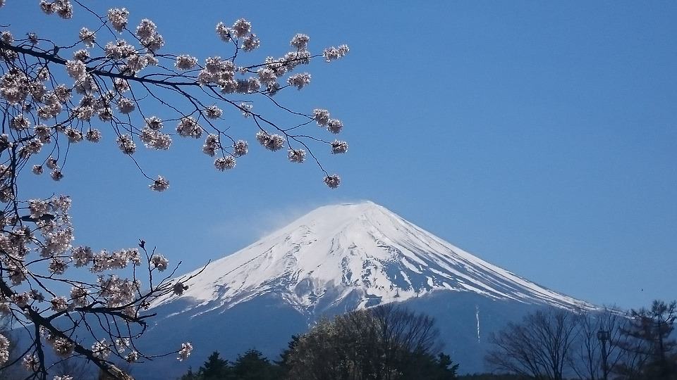 If you travel to Tokyo, is a must for you to have to visit Mt Fuji.