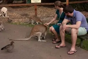 Caversham Wildlife Park