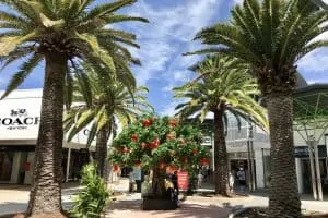 Harbour Town Shopping