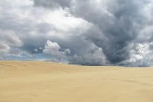 Port Stephens Dolphins & Dunes