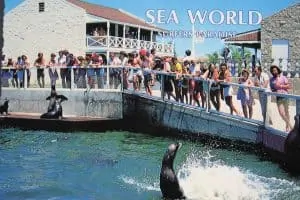 Seaworld