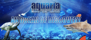 aquaria-klcc-ticket