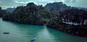 langkawi-mangrove-tour-join-in