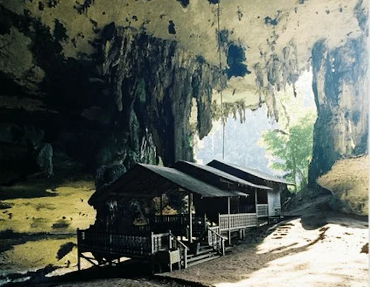 gun niah in miri tour package