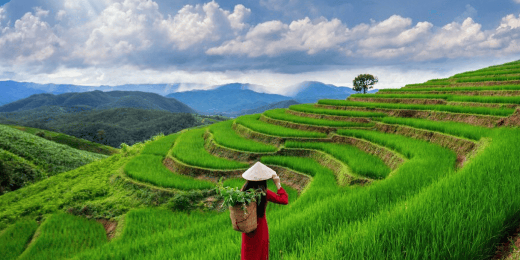 Vietnam, tour package
