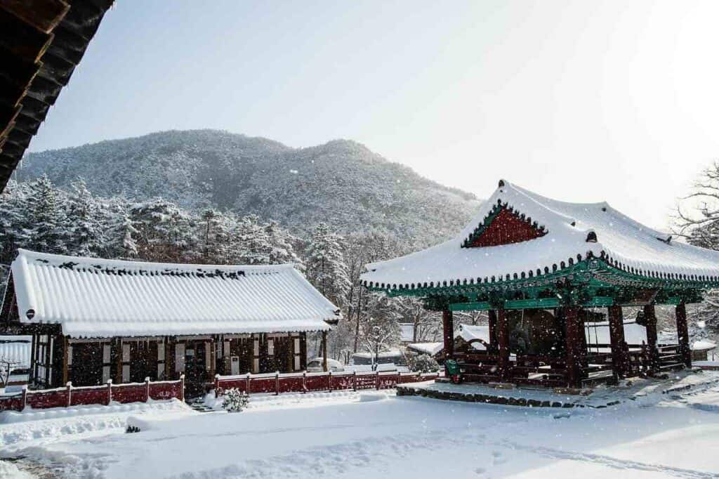 where can see snow in korea